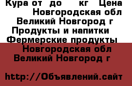 Кура от 1до 1,5 кг › Цена ­ 300 - Новгородская обл., Великий Новгород г. Продукты и напитки » Фермерские продукты   . Новгородская обл.,Великий Новгород г.